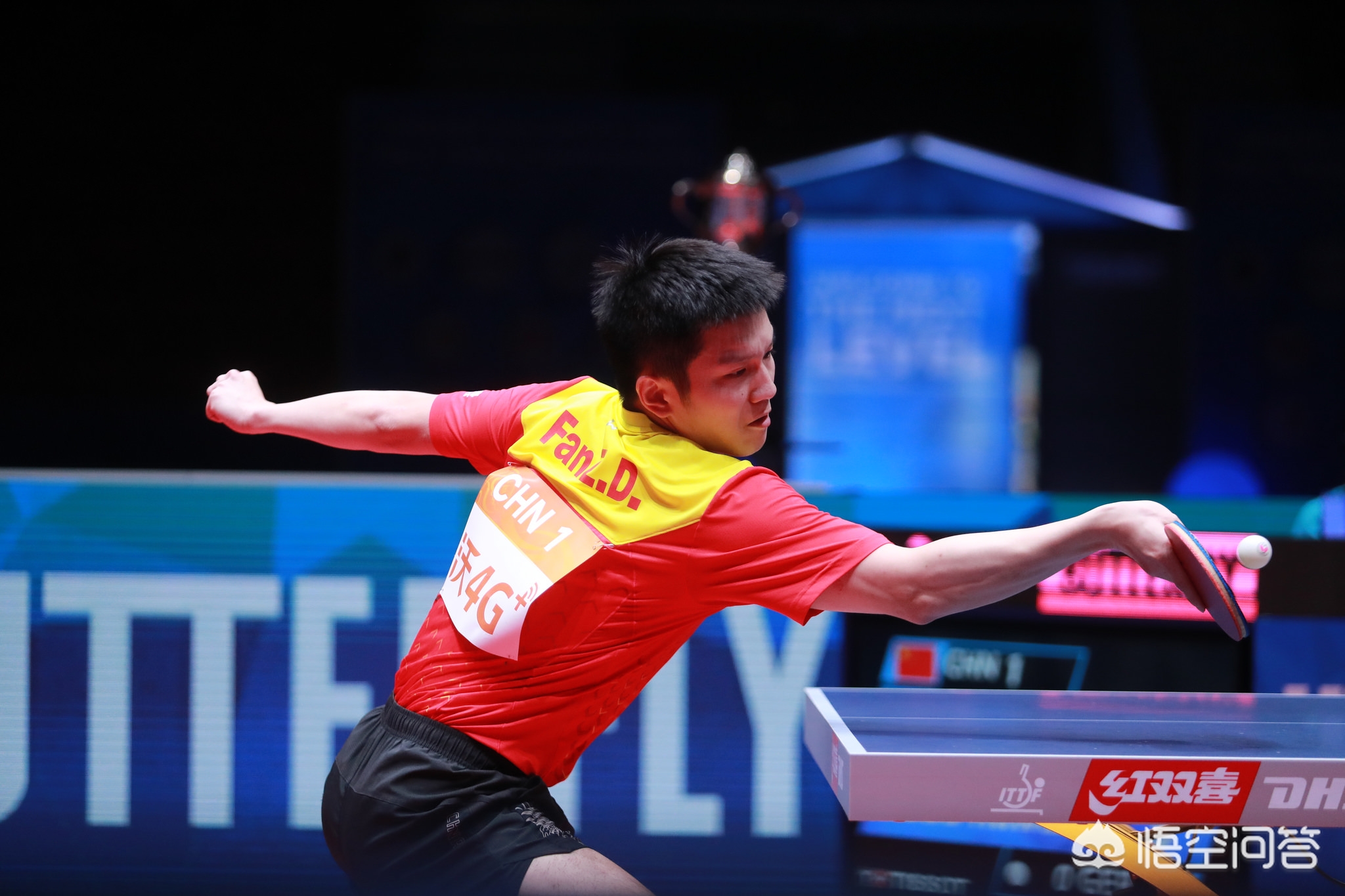 略显单薄 略显单薄