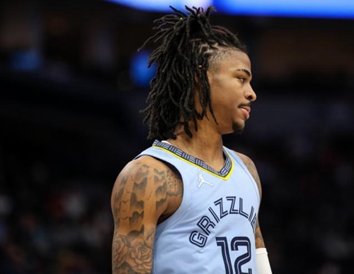 最近迎来了 最近迎来了