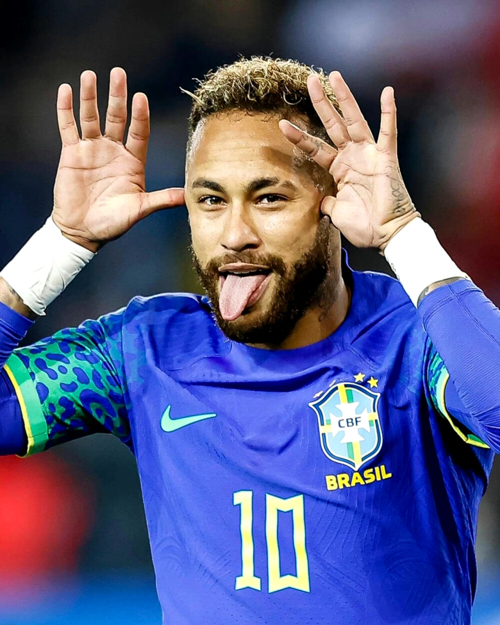 热烈支持无 热烈支持无